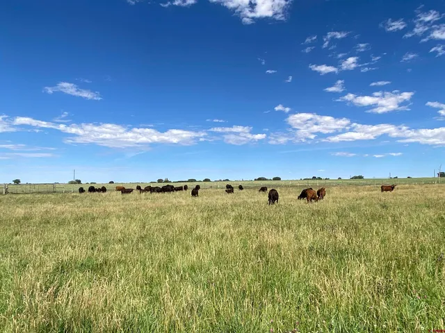 a view of a yard with swimming pool and mountains