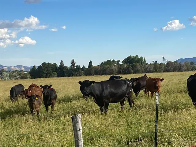 a view of a lake with houses in outdoor space
