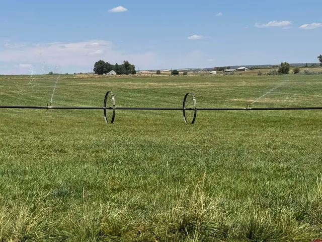 a view of a lush green field