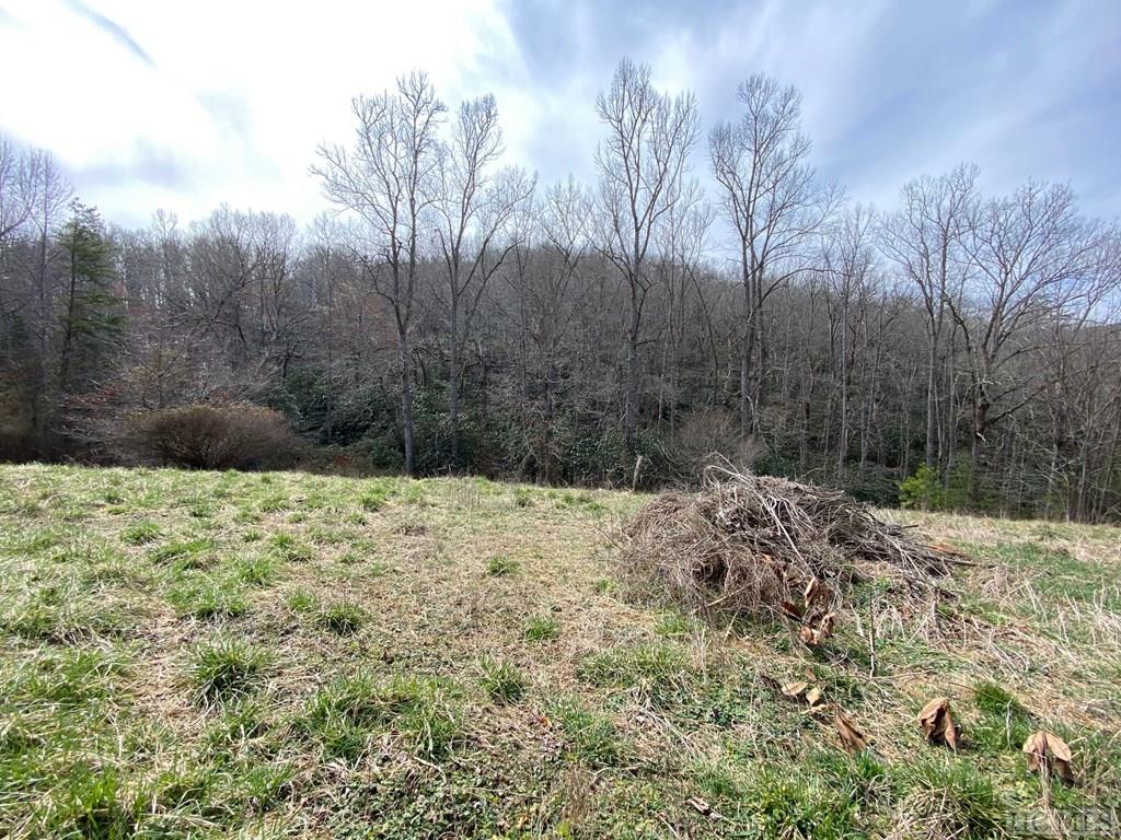 476 Lloyd Tallent Road Franklin, NC 28734 - Photo 11 of 11 Gallery Image 11