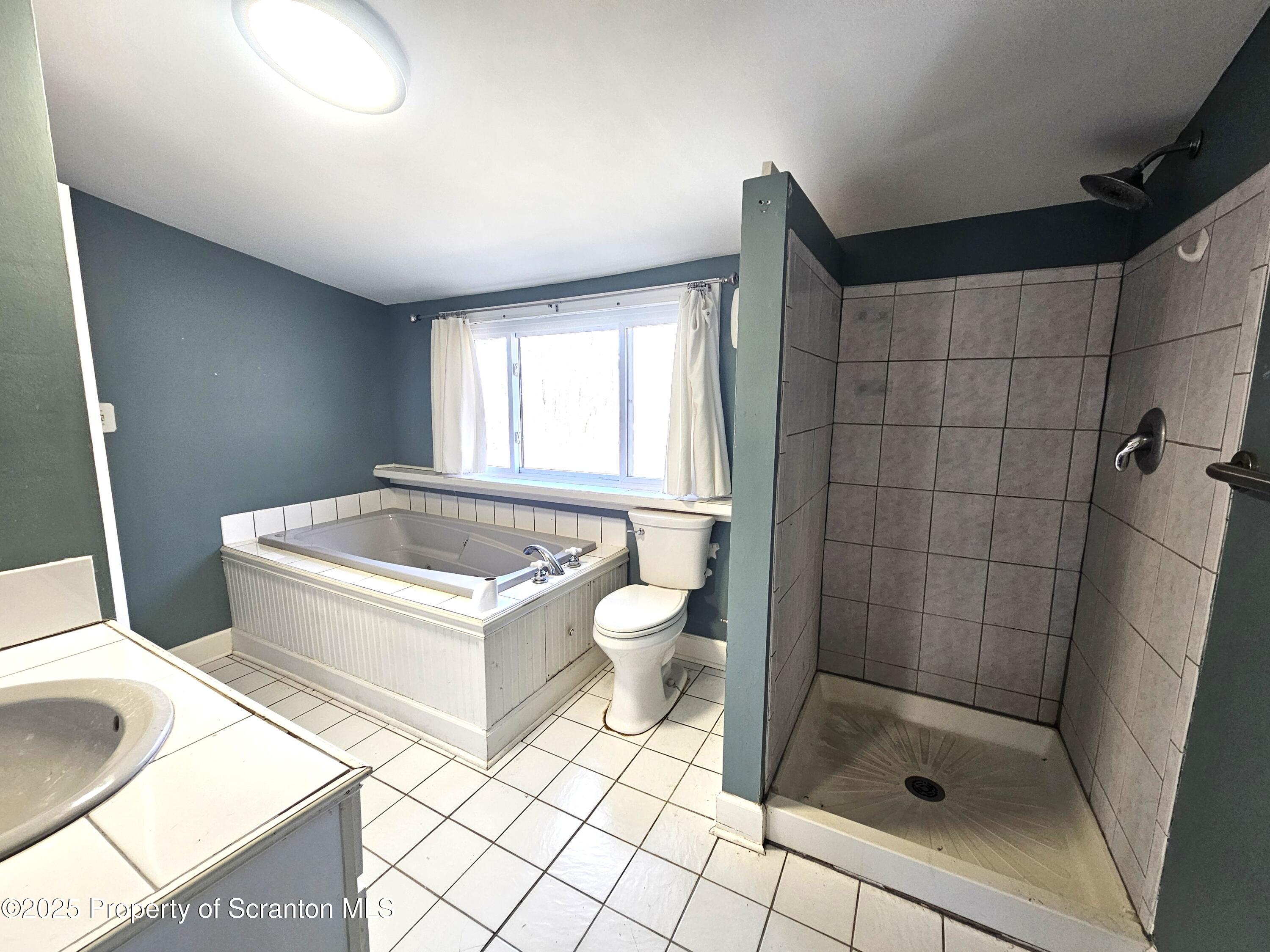 109-111 Griffin Pond Road Clarks Summit, PA 18411 - Photo 13 of 50 Bath Full View 1