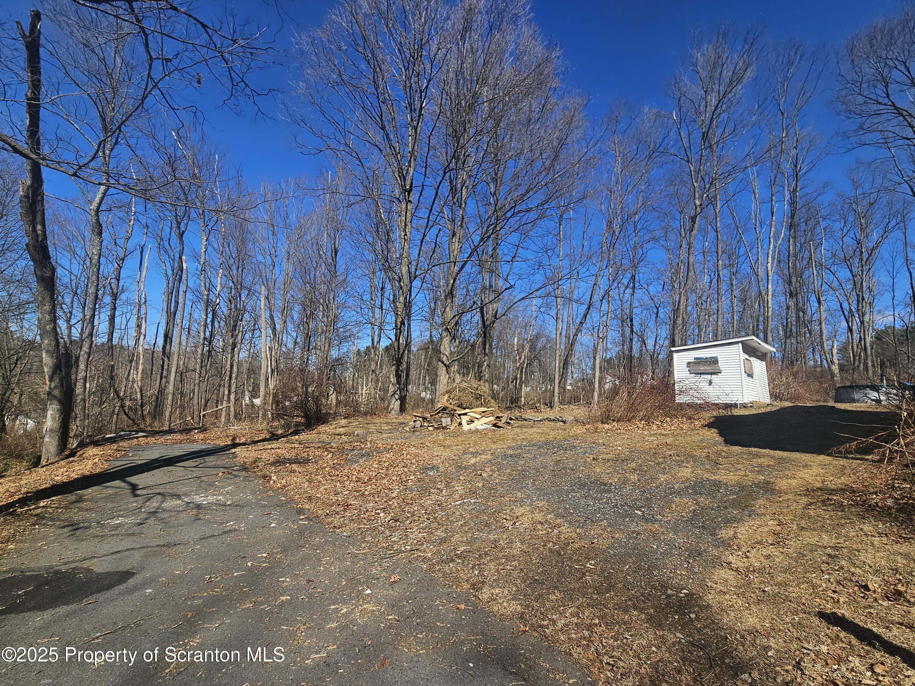 109-111 Griffin Pond Road Clarks Summit, PA 18411 - Photo 29 of 50 Left Yard