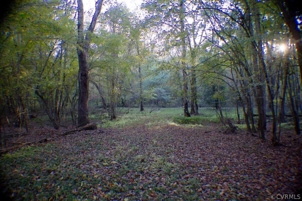 567 Little River Farms Road Bumpass, VA 23024 - Photo 19 of 22 Park-like walking path to the Little River at rear