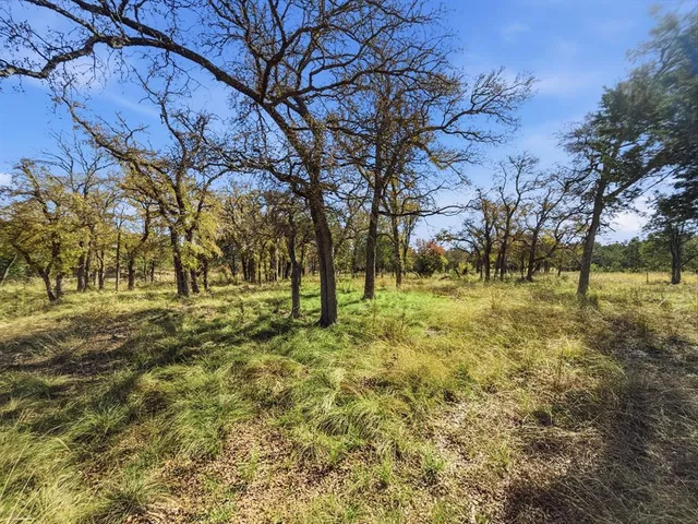 a view of yard with trees