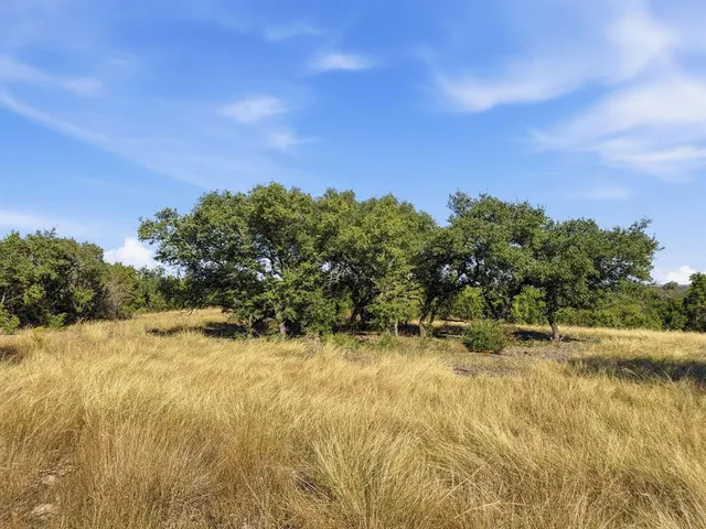 a view of a yard with a tree