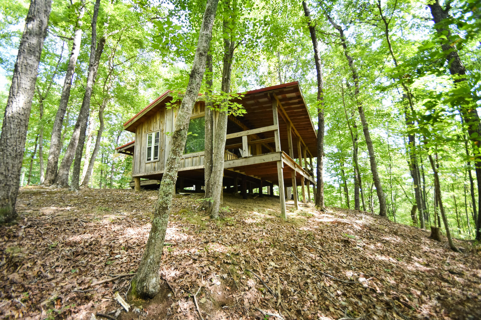 0 Carpenter Ridge Road Sandgap, KY 40481 - Photo 4 of 36 DSC_2130