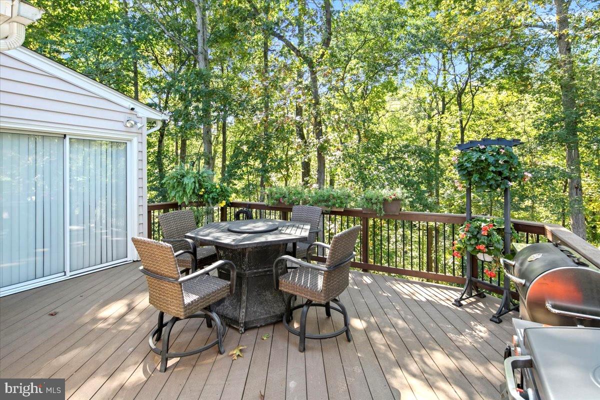 8218 Rushing Creek Drive Springfield, VA 22153 - Photo 68 of 94 Gallery Image 68