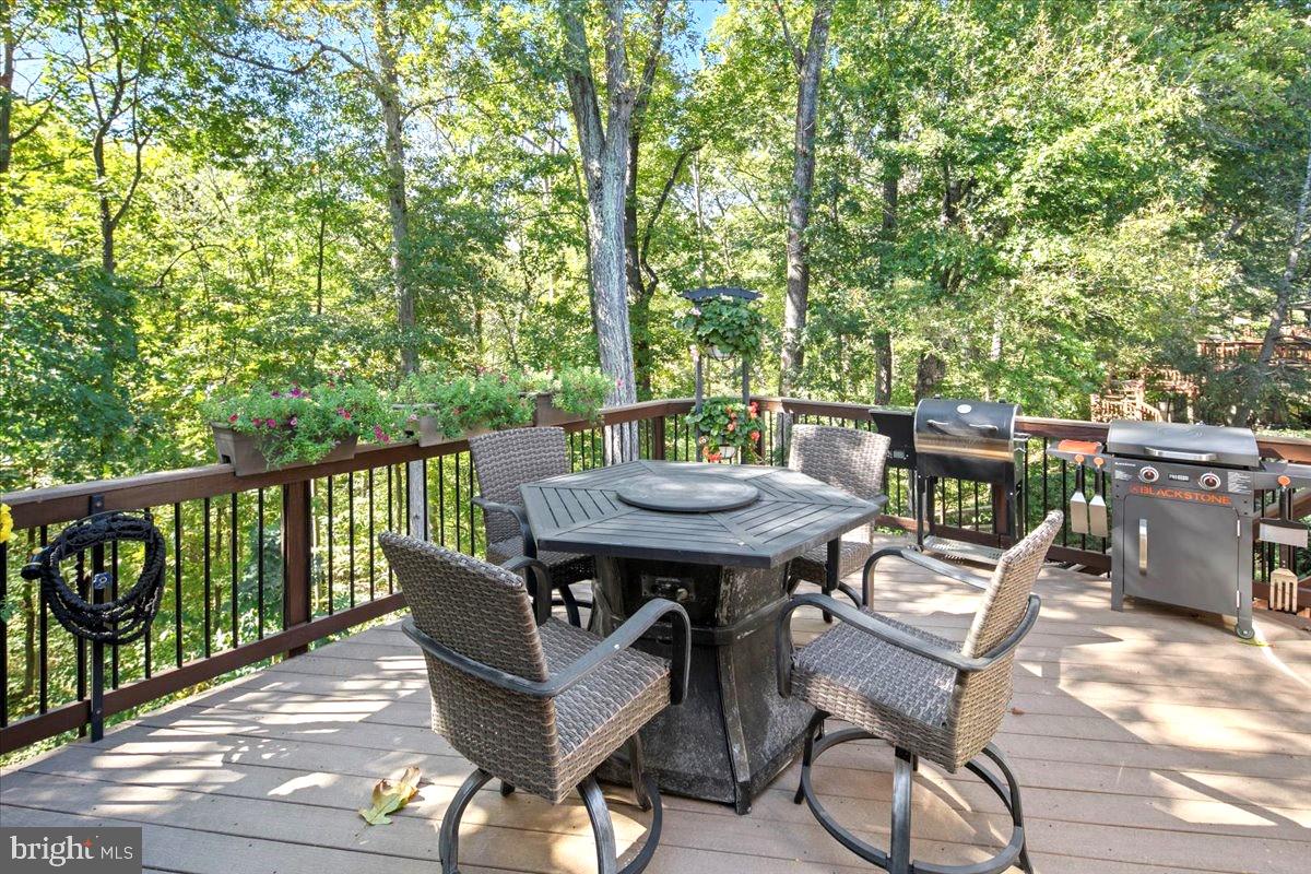 8218 Rushing Creek Drive Springfield, VA 22153 - Photo 69 of 94 Gallery Image 69