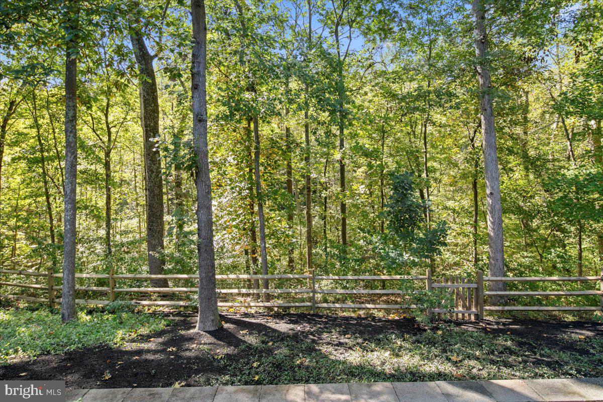 8218 Rushing Creek Drive Springfield, VA 22153 - Photo 76 of 94 Gallery Image 76
