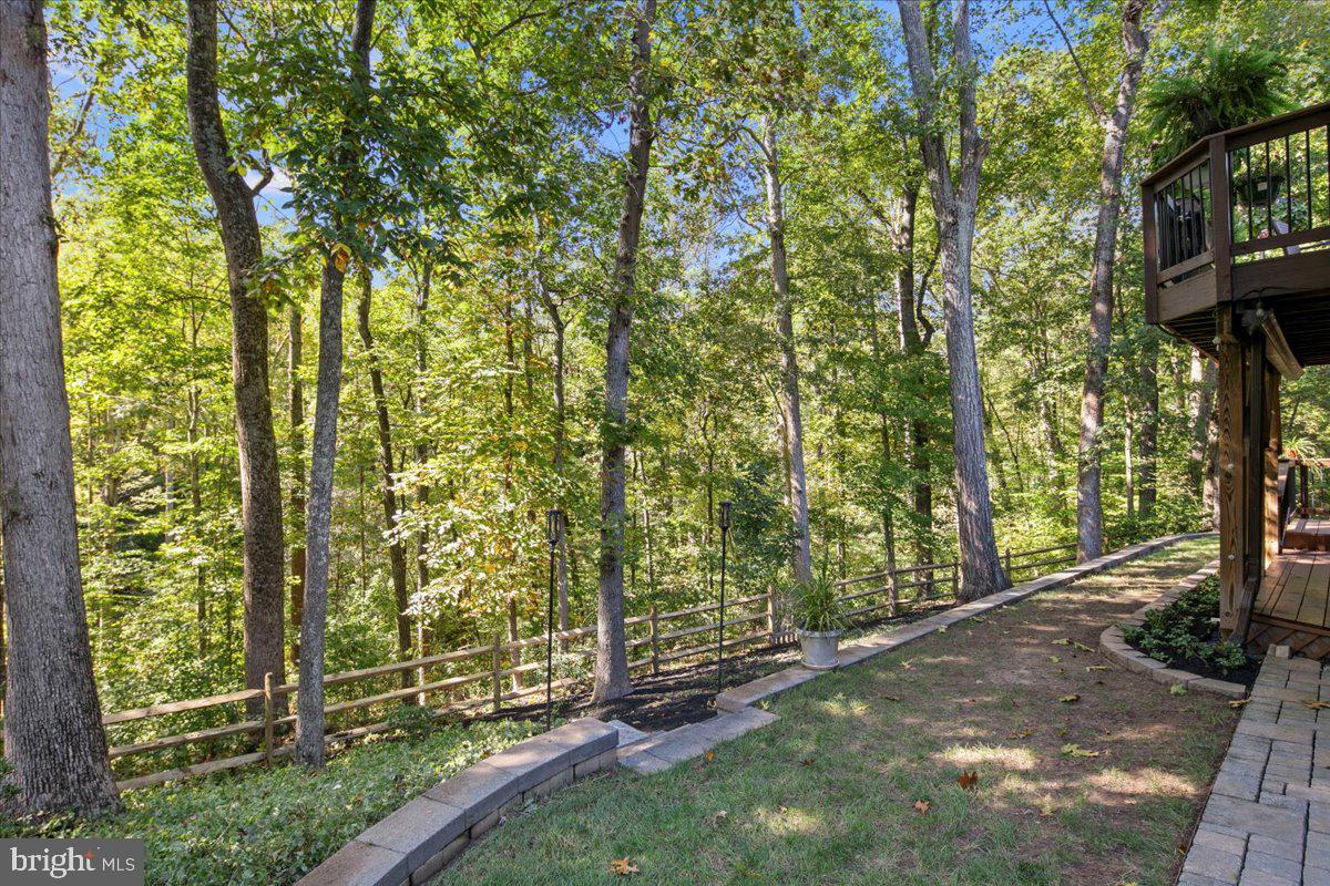 8218 Rushing Creek Drive Springfield, VA 22153 - Photo 82 of 94 Gallery Image 82