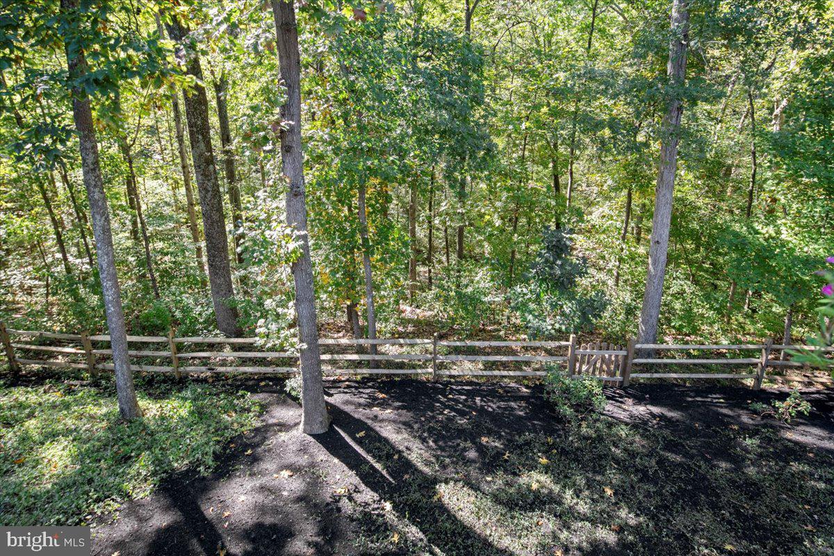 8218 Rushing Creek Drive Springfield, VA 22153 - Photo 88 of 94 Gallery Image 88