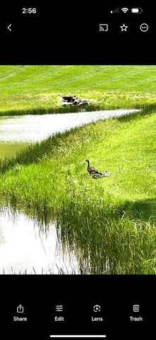 a open area with a lake view