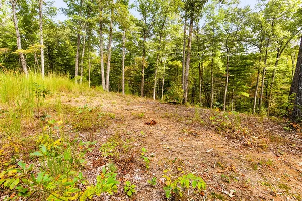 $149,500 | 0 Nature Vly Trail, Murphy, NC 28906