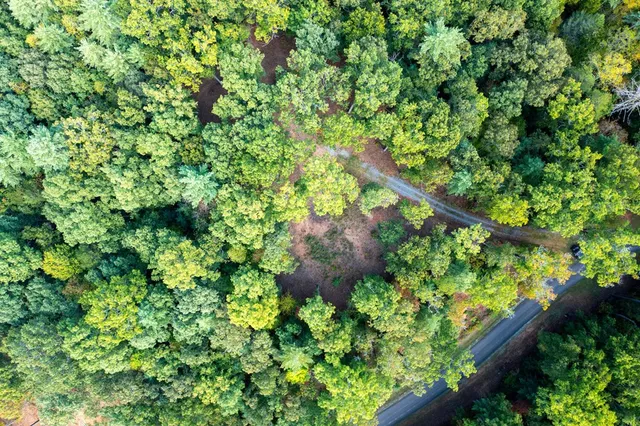 a view of an swimming pool with a yard