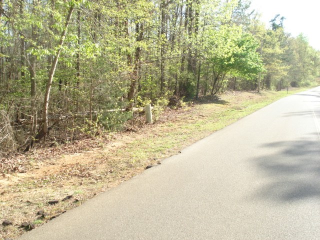 229 Sandpiper Point Counce, TN 38326 - Photo 1 of 3 a view of beach and tree
