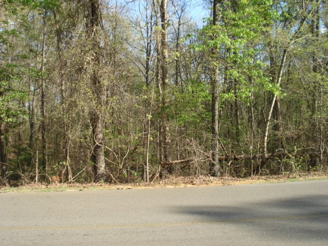 229 Sandpiper Point Counce, TN 38326 - Photo 2 of 3 view of a road with a building in the background
