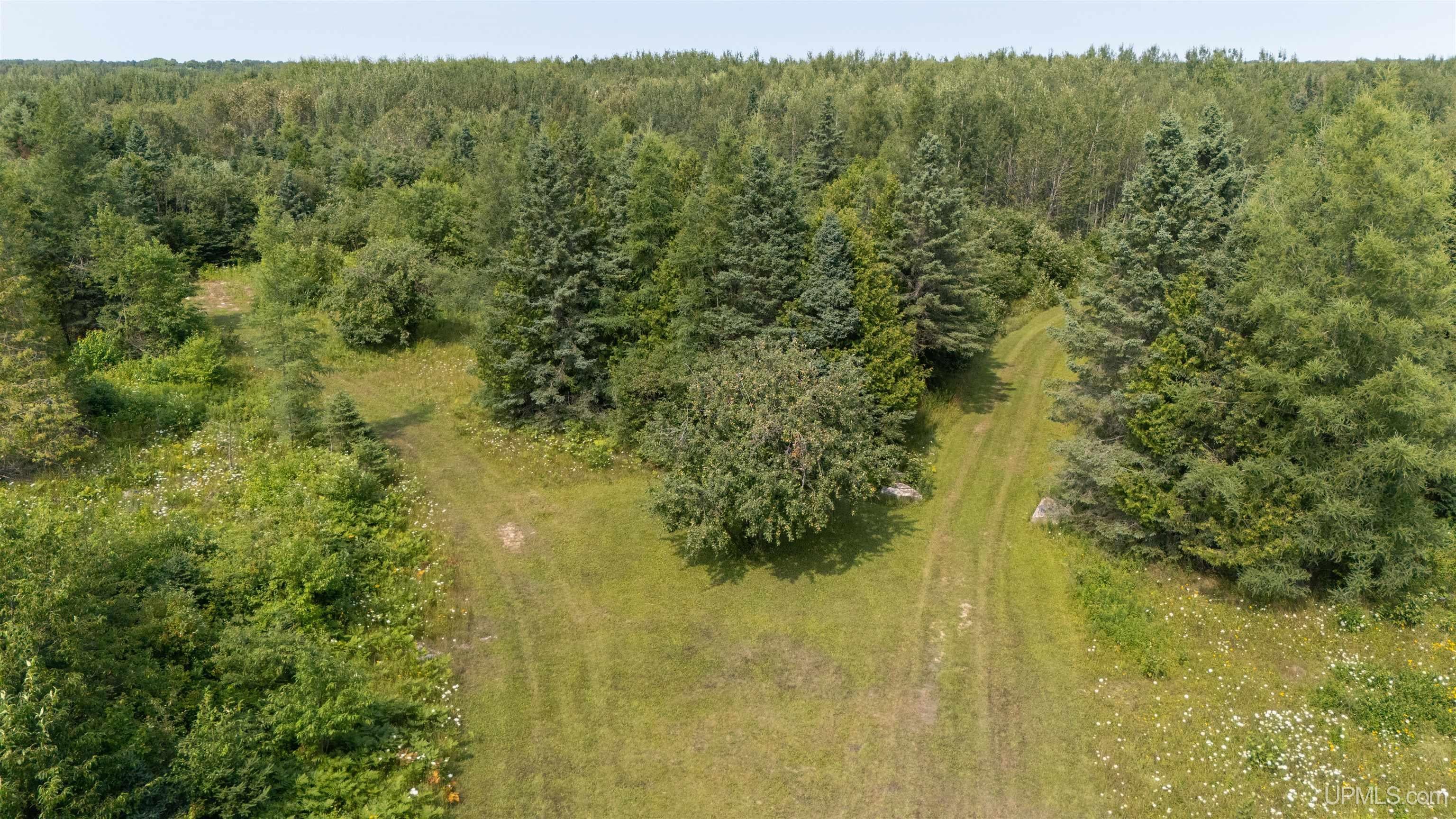 35-acres Town Line Road Gulliver, MI 49840 - Photo 6 of 23 Gallery Image 6