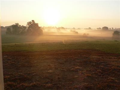 4200 Springfield Road Sharpsburg, KY 40374 - Photo 19 of 19 Morning view from the rear porch