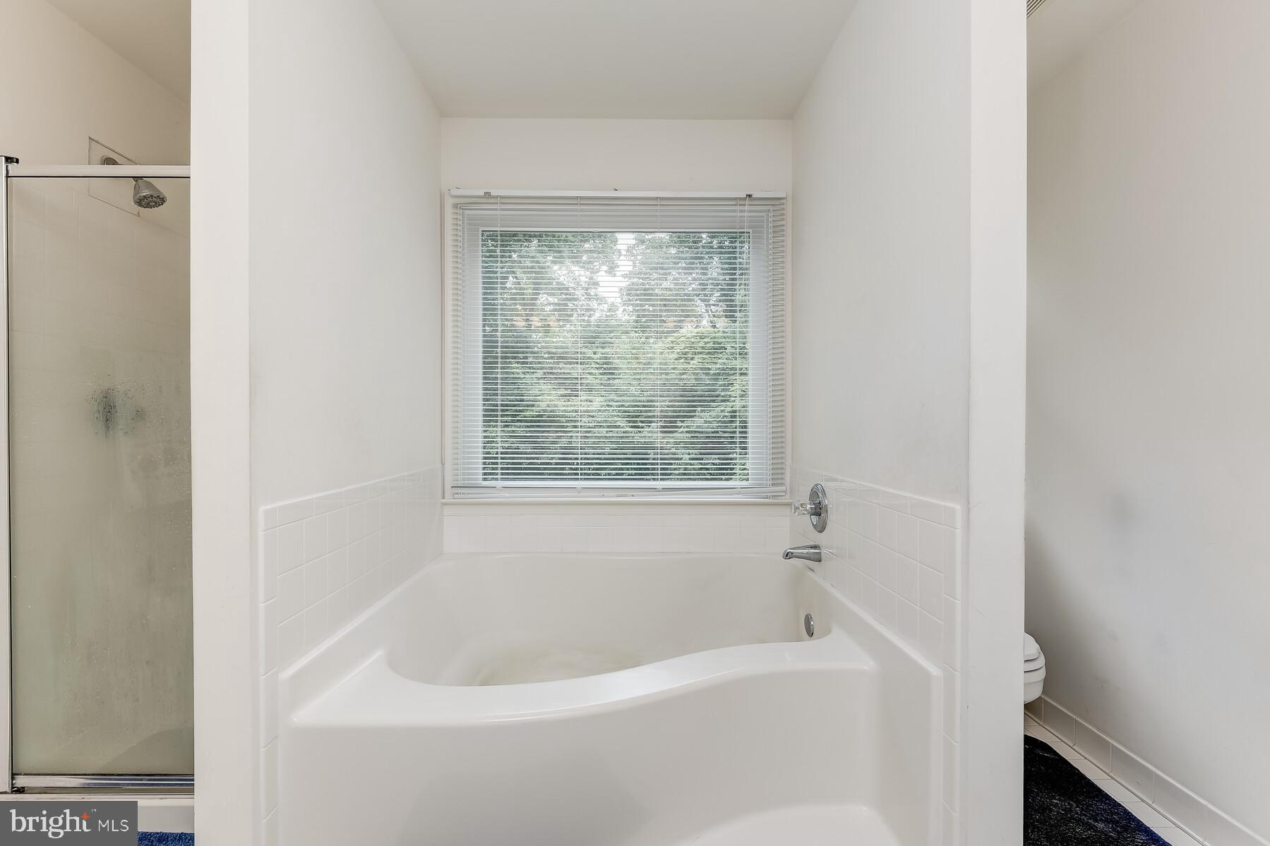 1195 Woods Road Westminster, MD 21158 - Photo 20 of 32 Large master Bath