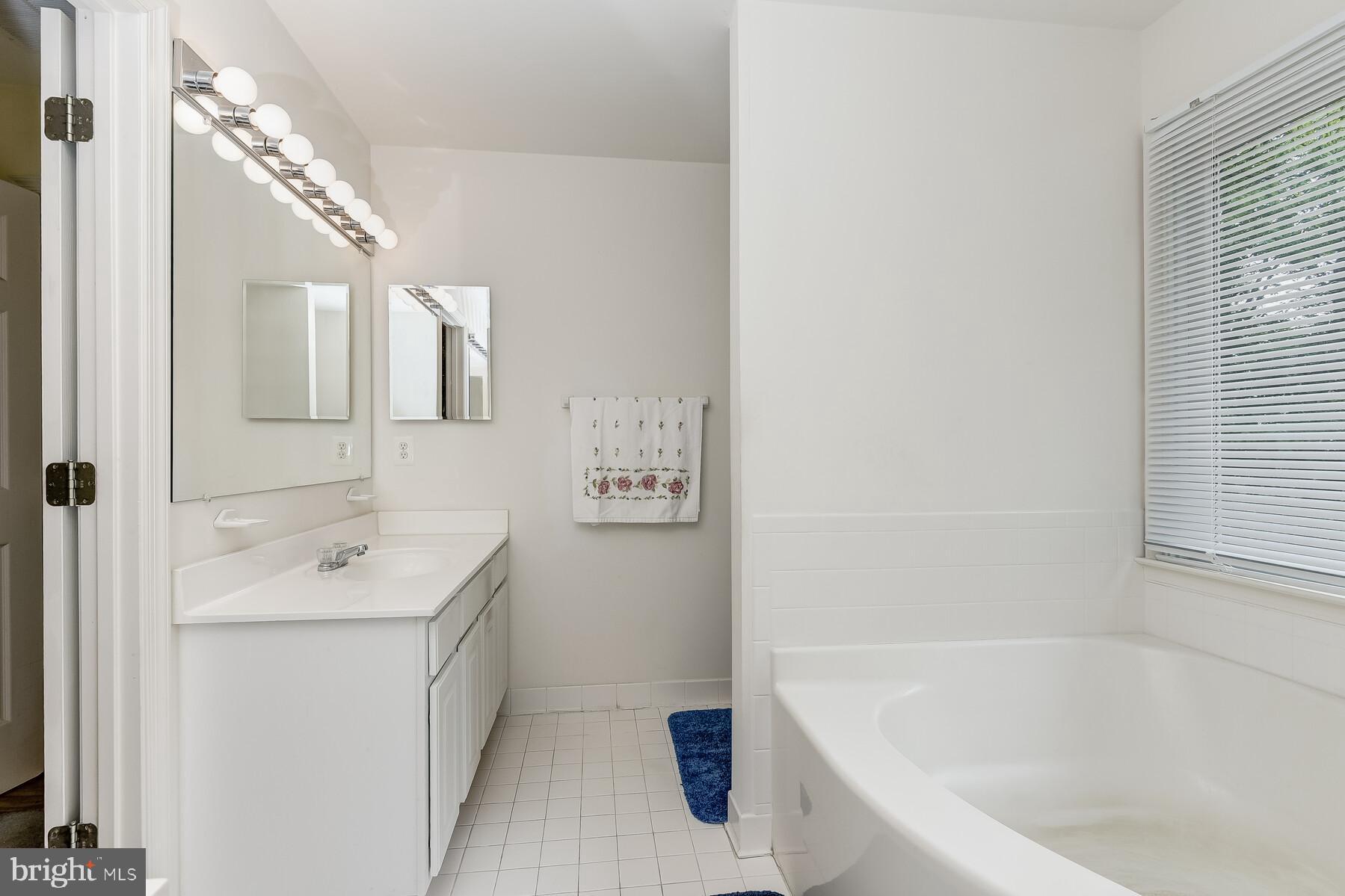 1195 Woods Road Westminster, MD 21158 - Photo 21 of 32 Soaking tub & Double Vanity