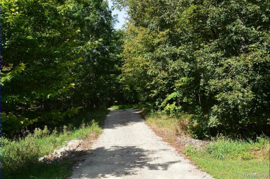 13181 Imlay City Road Emmett, MI 48022 - Photo 20 of 20 DSC_0046.jpg
