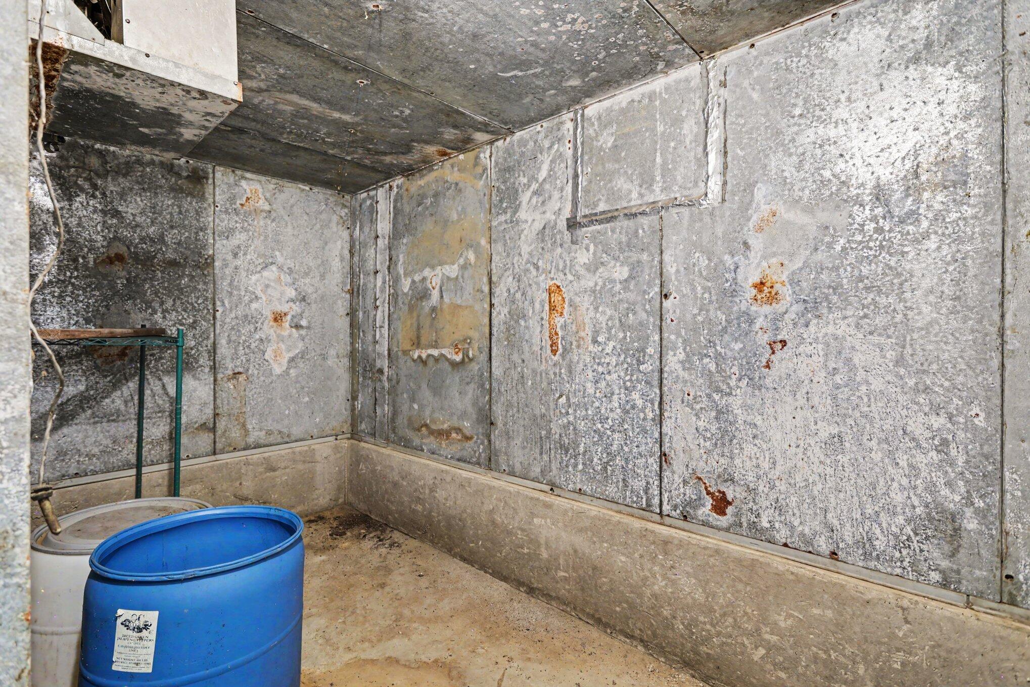 3451 Pifer Road Delton, MI 49046 - Photo 29 of 35 Walk In Freezer