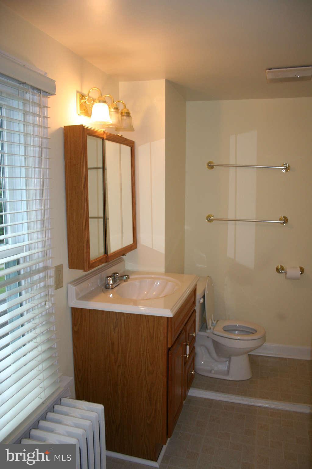 10529 Old Court Road Woodstock, MD 21163 - Photo 24 of 26 a bathroom with a sink toilet and shower