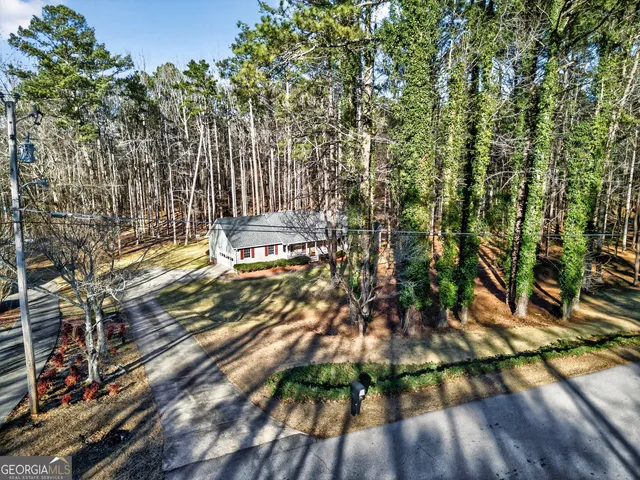 a view of a backyard with plants
