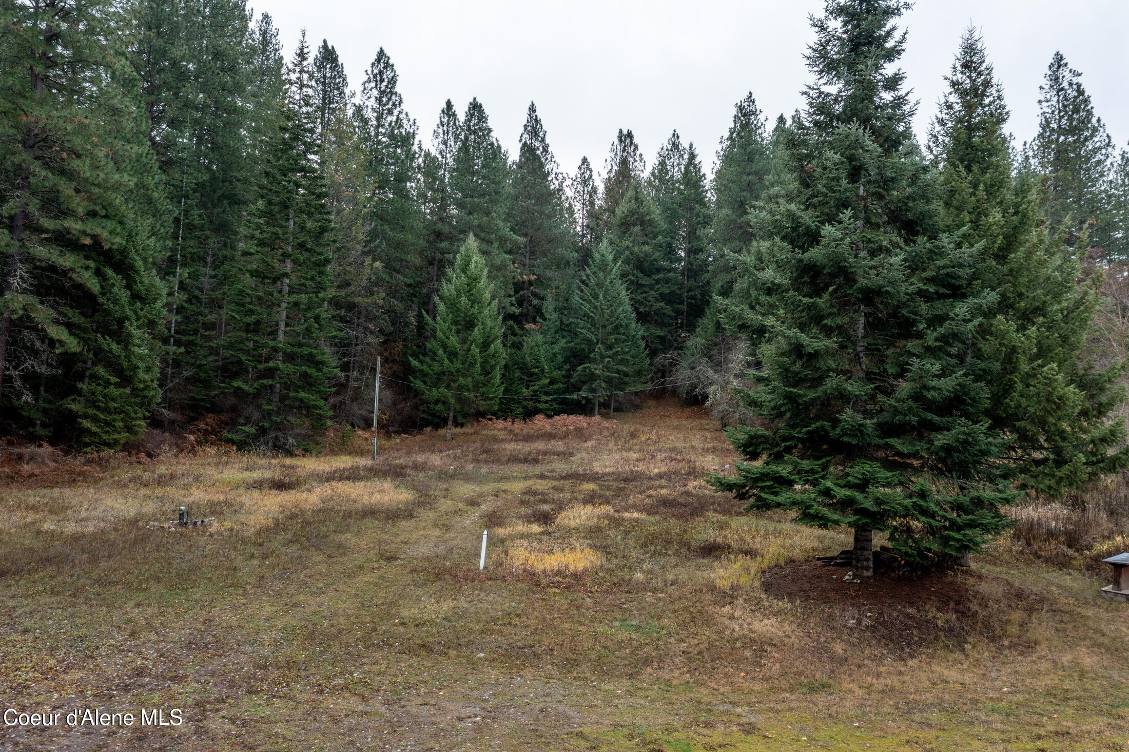 22090 State Highway 3 Cataldo, ID 83810 - Photo 48 of 67 16