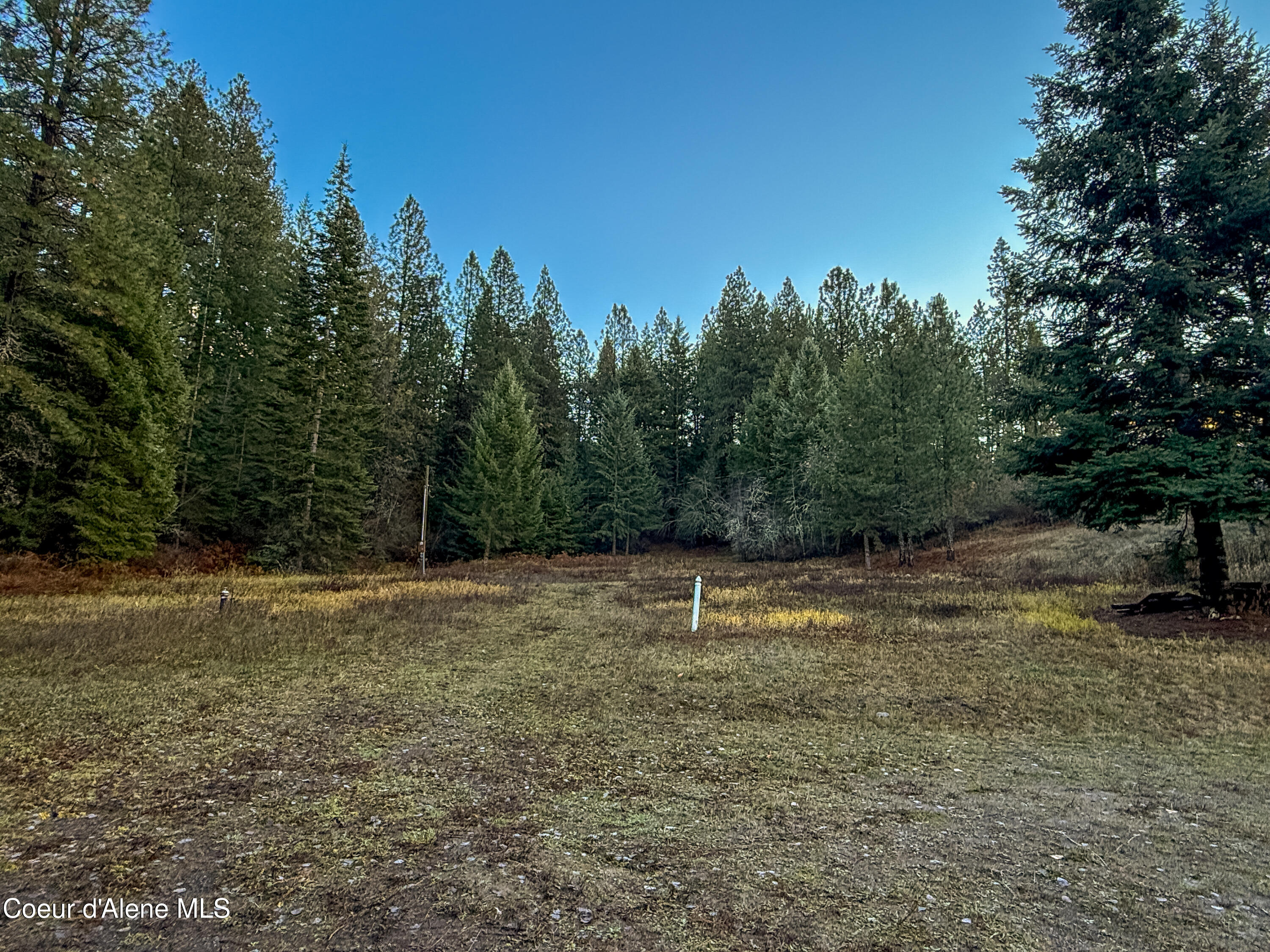 22090 State Highway 3 Cataldo, ID 83810 - Photo 50 of 67 IMG_2667-9