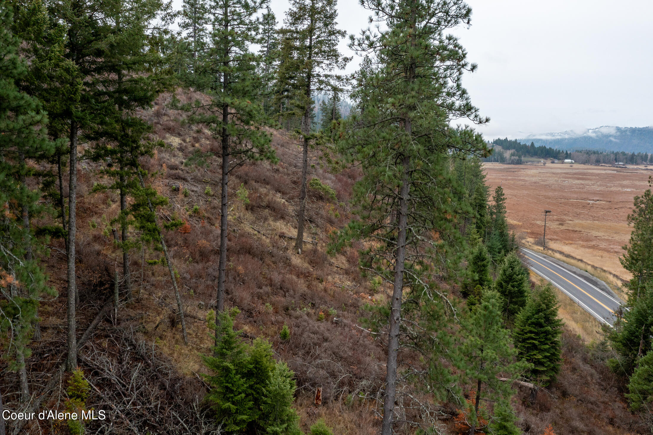 22090 State Highway 3 Cataldo, ID 83810 - Photo 55 of 67 22