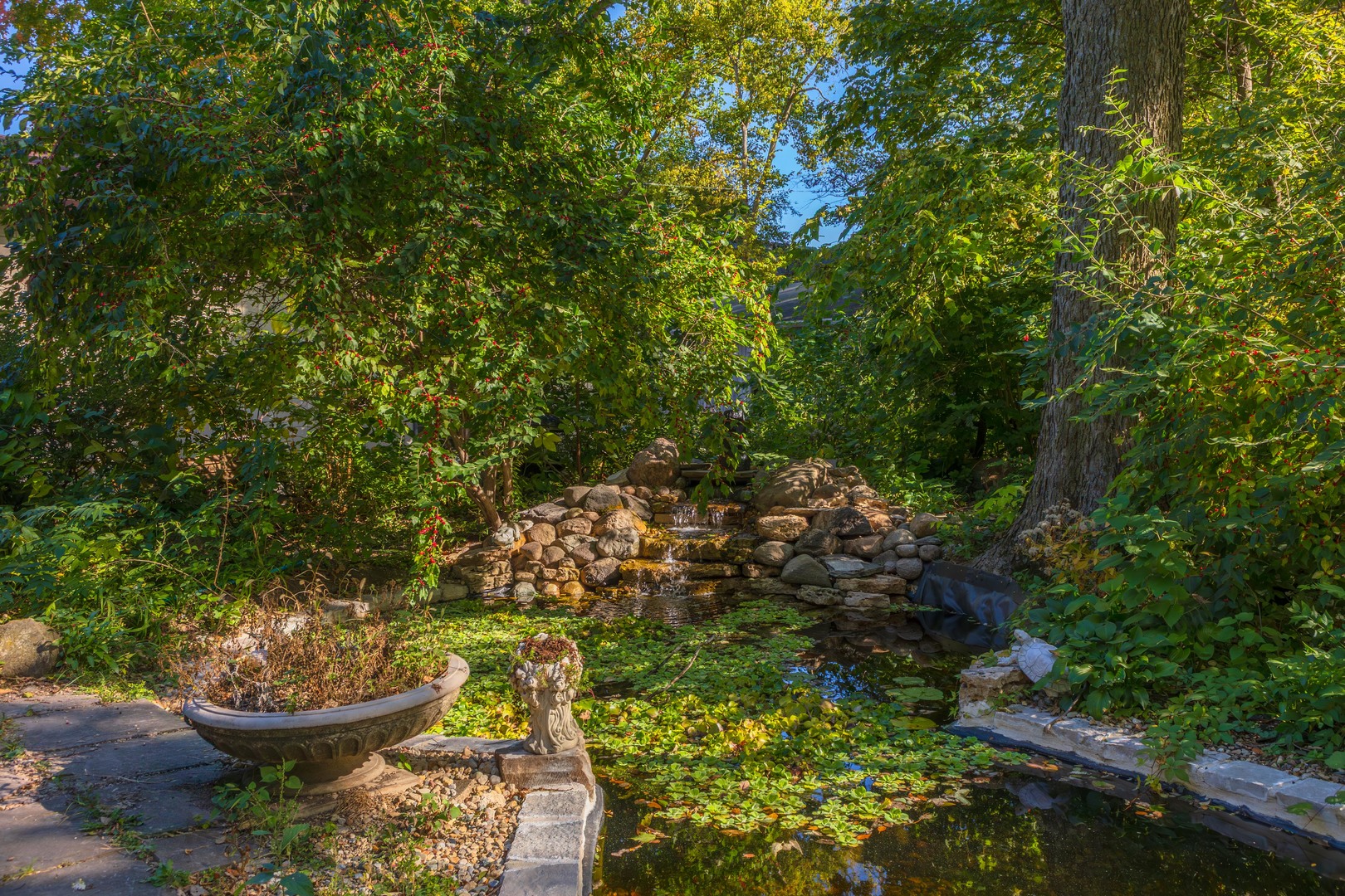 1111 East Grove Street Bloomington, IL 61701 - Photo 51 of 56 a view of a backyard of the house and trees