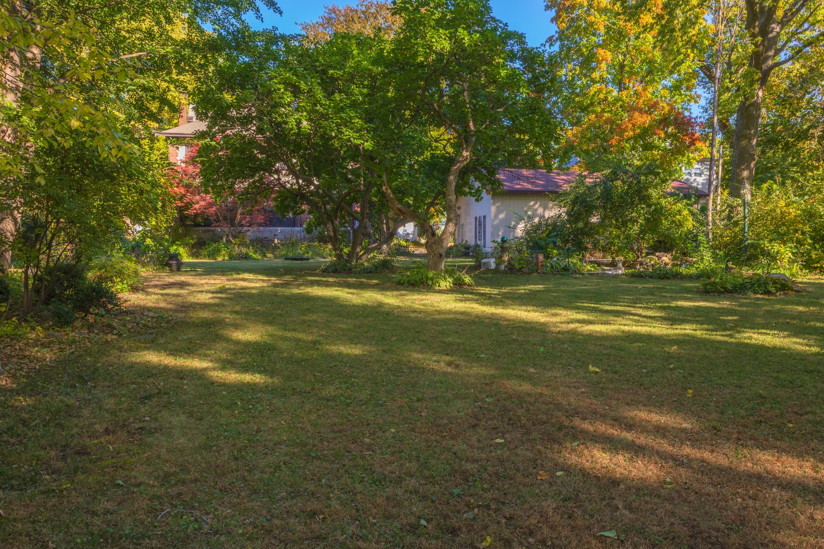 1111 East Grove Street Bloomington, IL 61701 - Photo 53 of 56 a view of a trees in a yard