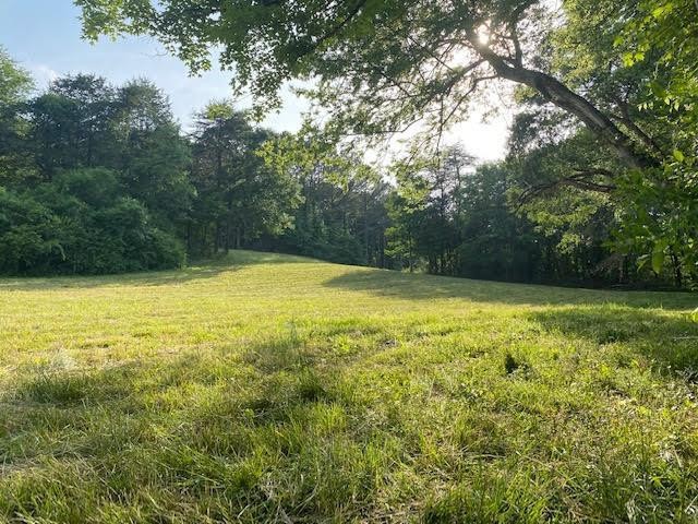 194 Old River Road Charleston, TN 37310 - Photo 2 of 7 Gallery Image 2