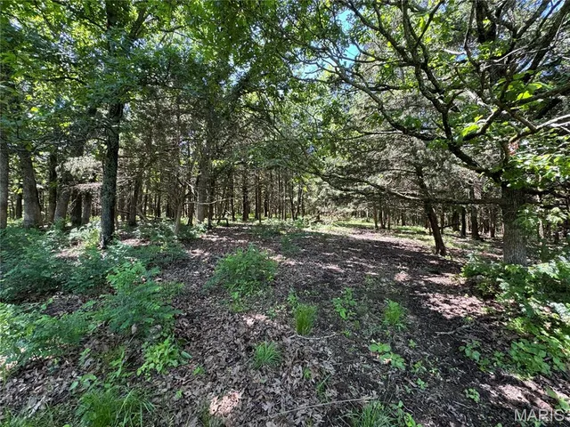 $824,900 | 0 Cardinal Road, Dixon, MO 65459