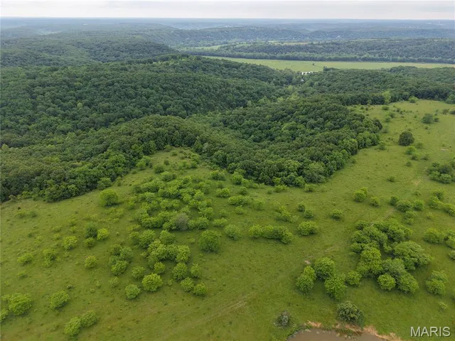 $824,900 | 0 Cardinal Road, Dixon, MO 65459