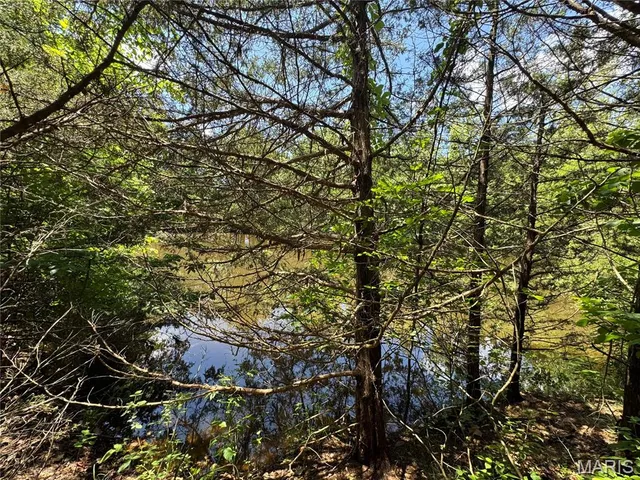 $824,900 | 0 Cardinal Road, Dixon, MO 65459