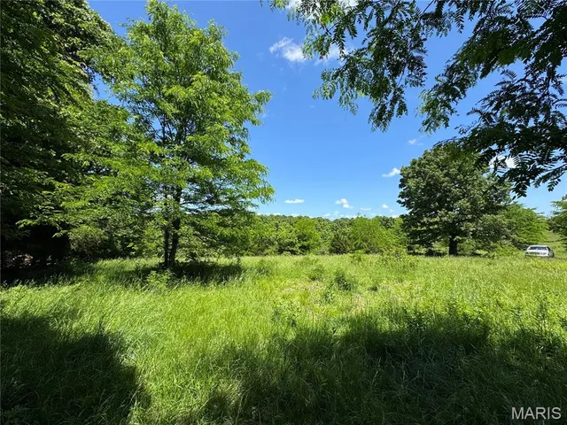 $824,900 | 0 Cardinal Road, Dixon, MO 65459