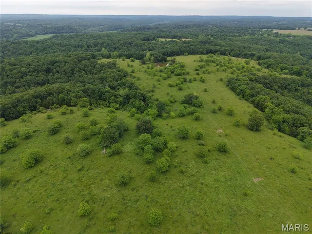 $824,900 | 0 Cardinal Road, Dixon, MO 65459