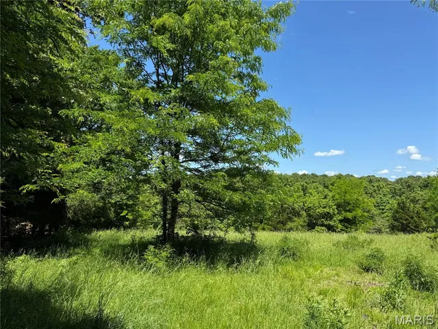 $824,900 | 0 Cardinal Road, Dixon, MO 65459