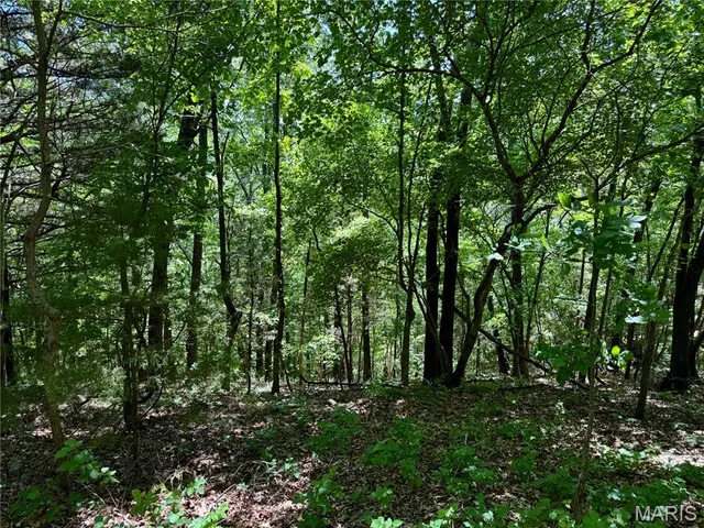 $824,900 | 0 Cardinal Road, Dixon, MO 65459