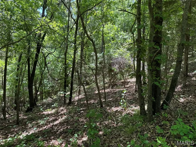 $824,900 | 0 Cardinal Road, Dixon, MO 65459