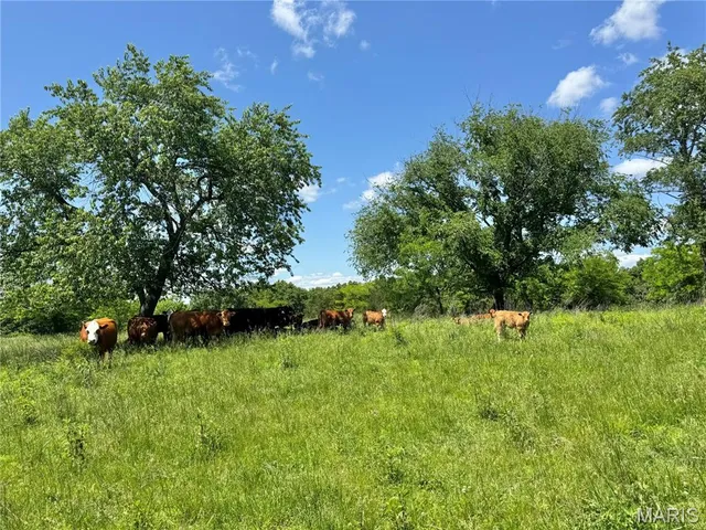 $824,900 | 0 Cardinal Road, Dixon, MO 65459