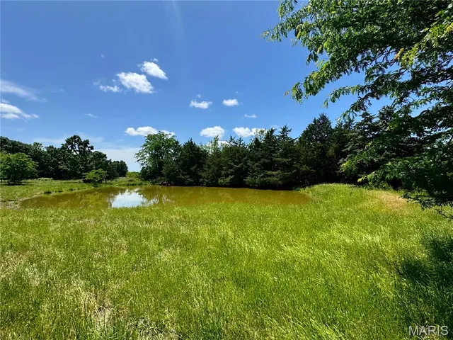 $824,900 | 0 Cardinal Road, Dixon, MO 65459