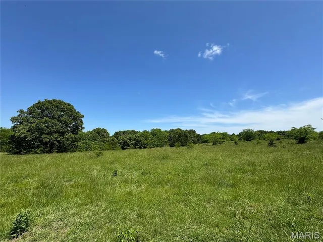 $824,900 | 0 Cardinal Road, Dixon, MO 65459