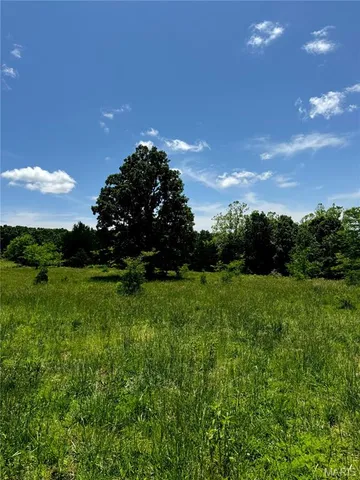 $824,900 | 0 Cardinal Road, Dixon, MO 65459