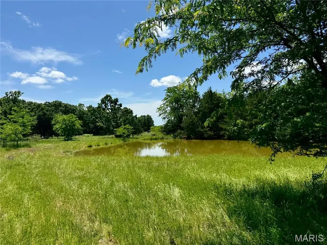 $824,900 | 0 Cardinal Road, Dixon, MO 65459