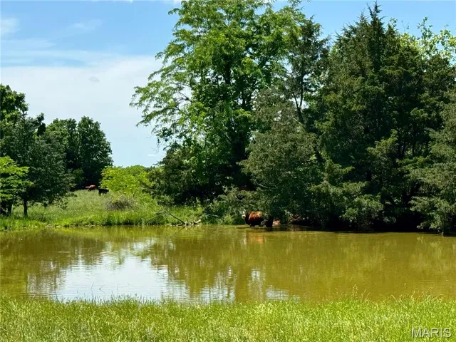 $824,900 | 0 Cardinal Road, Dixon, MO 65459