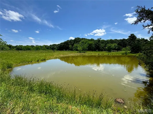 $824,900 | 0 Cardinal Road, Dixon, MO 65459