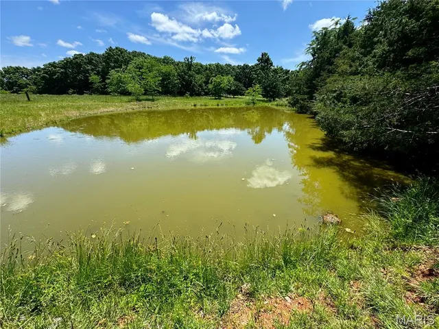 $824,900 | 0 Cardinal Road, Dixon, MO 65459